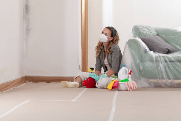 Reliable Bathroom Mold Removal contractor in Medina, MN by WQB Mold Removal
